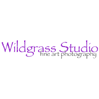 Wildgrass Studio 1072566 Image 4